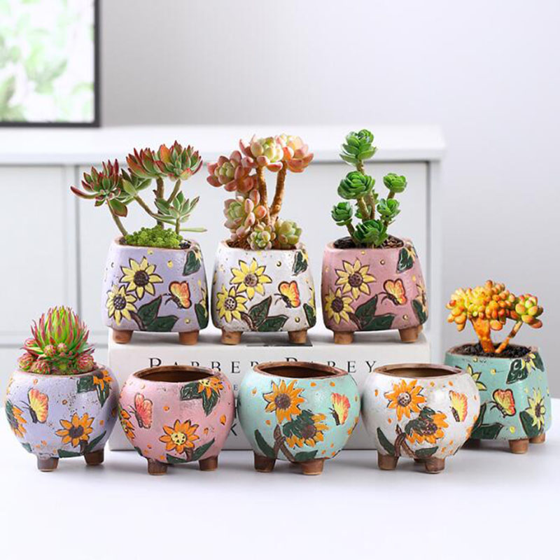 Korean Style Sunflower Pattern - огляд і ціна Echeveria Succulent