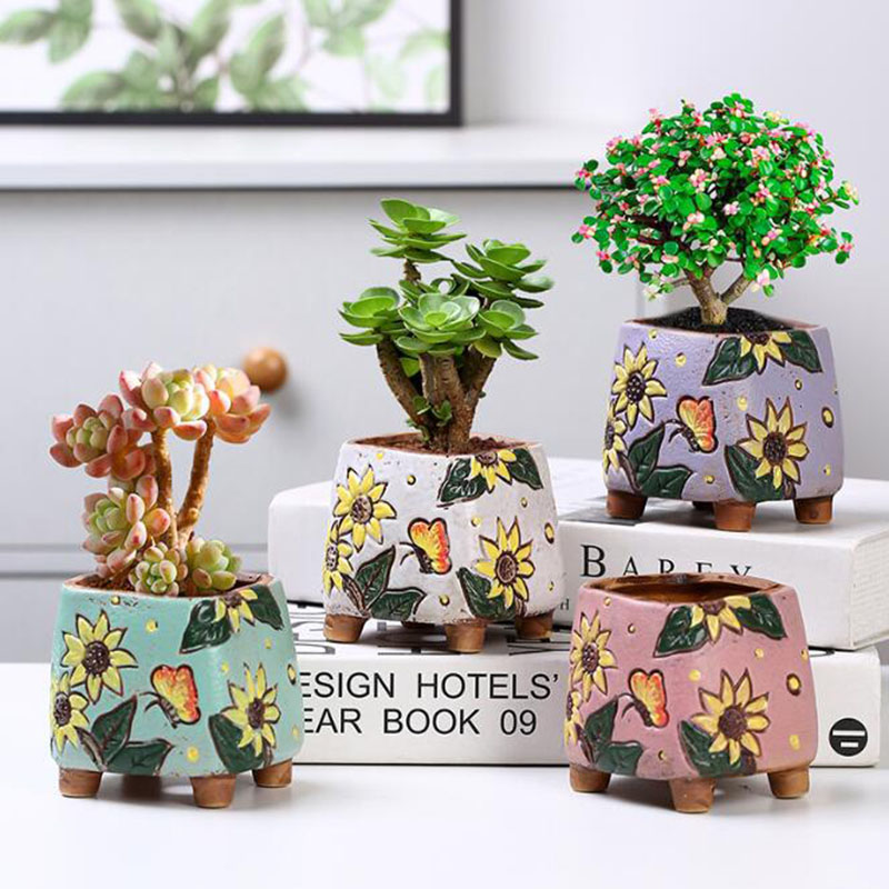 Korean Style Sunflower Pattern - огляд і ціна Echeveria Succulent