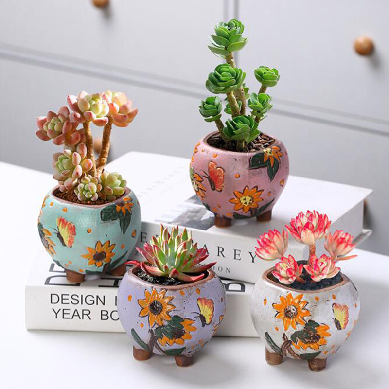 Korean Style Sunflower Pattern - огляд і ціна Echeveria Succulent