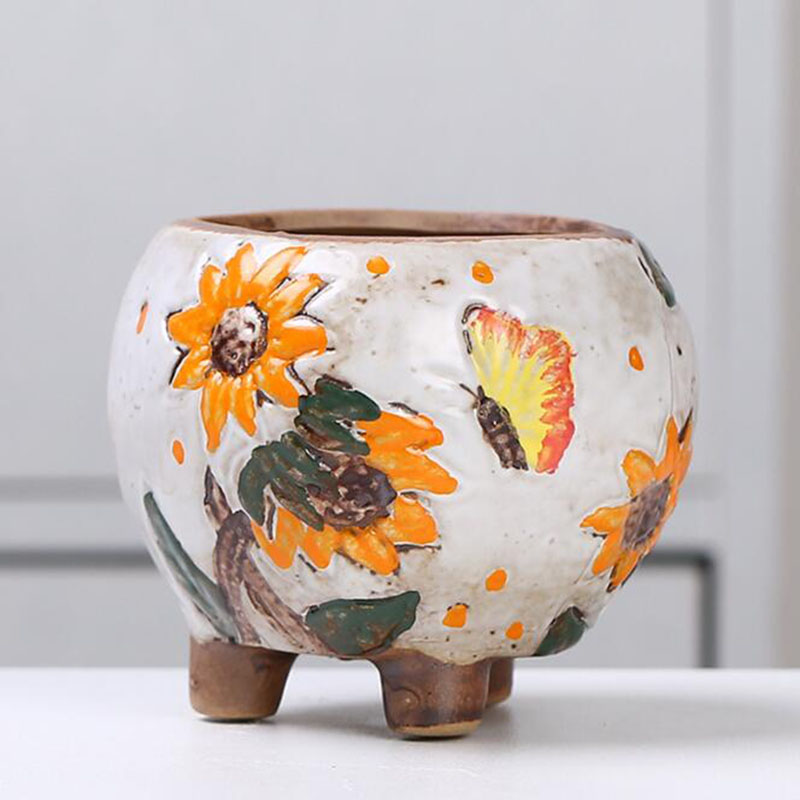 Korean Style Sunflower Pattern - огляд і ціна Echeveria Succulent