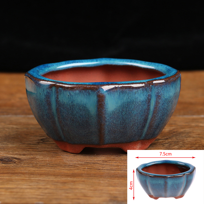 1pcs Bonsai Mini Ceramic Flowe - огляд і ціна Echeveria Succulent