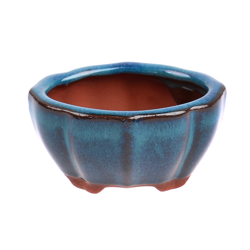 1pcs Bonsai Mini Ceramic Flowe - огляд і ціна Echeveria Succulent