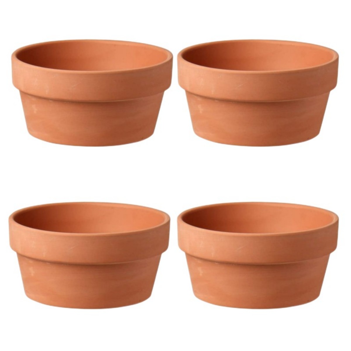 6 PCS Terracotta Buld Pots 3.5 - огляд і ціна Echeveria Succulent