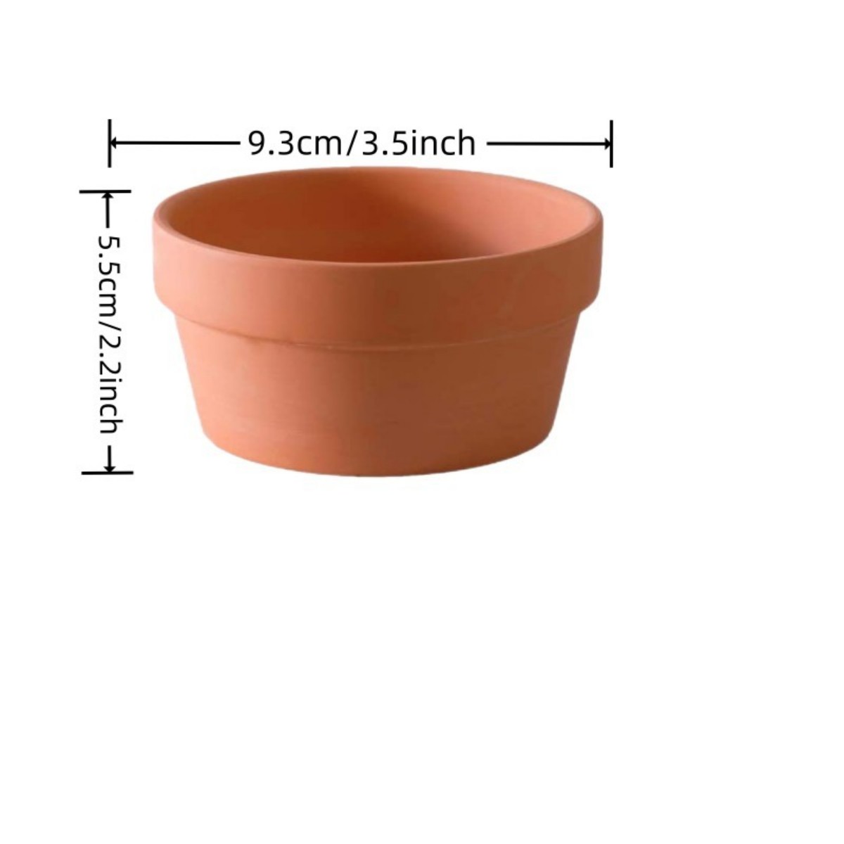6 PCS Terracotta Buld Pots 3.5 - огляд і ціна Echeveria Succulent