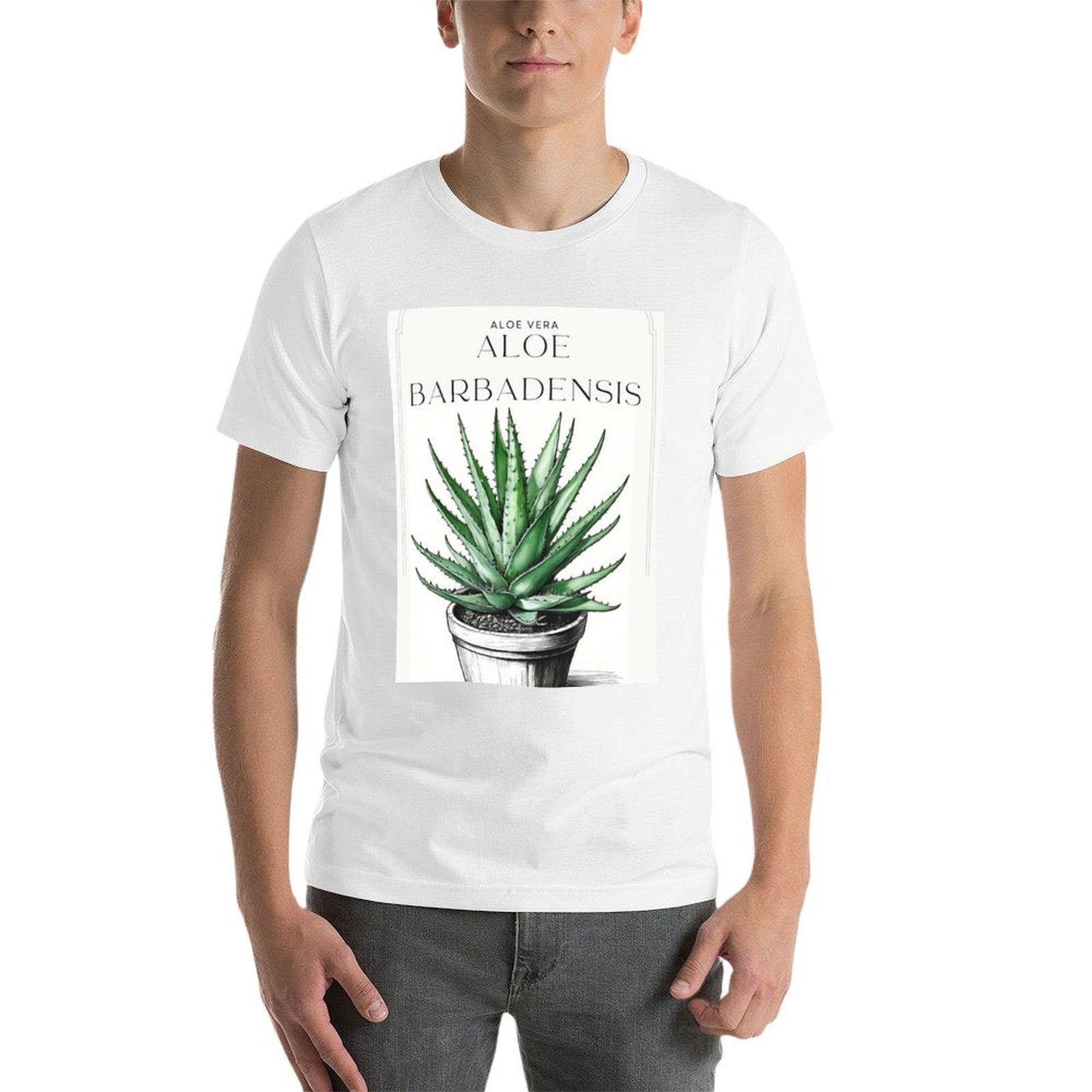 Botanical Aloe Vera in pot rus - огляд і ціна Aloe Vera Pot