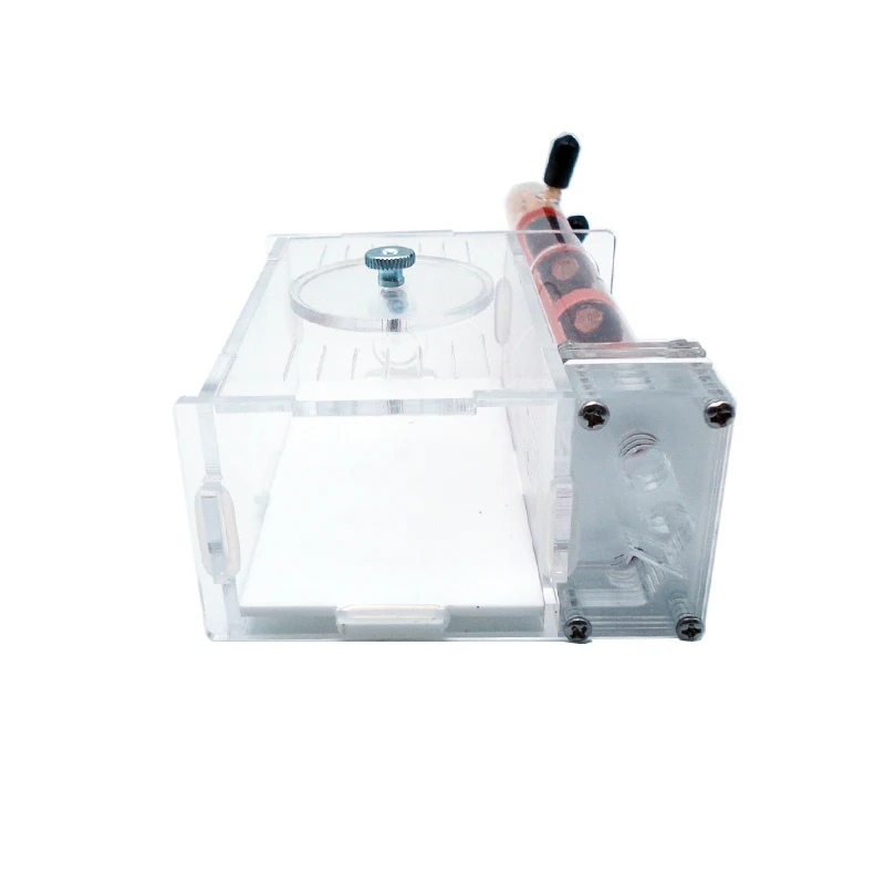 DIY Ant Farm 2 pcs 18-180mm Gy - огляд і ціна Begonia Rex