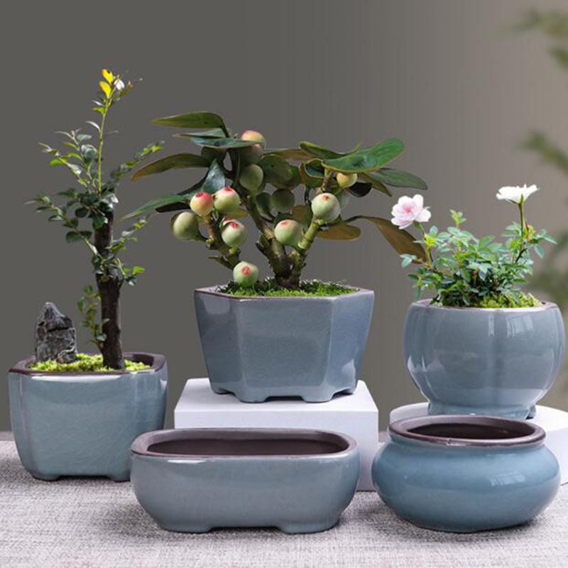 Retro Ceramic Flower Pot Aspar - огляд і ціна Echeveria Succulent