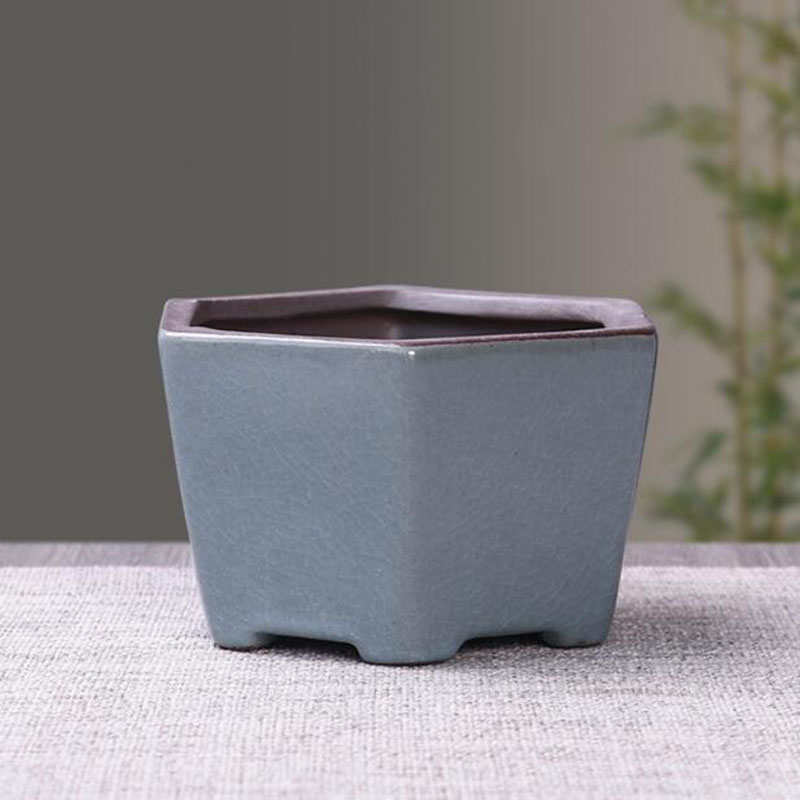 Retro Ceramic Flower Pot Aspar - огляд і ціна Echeveria Succulent