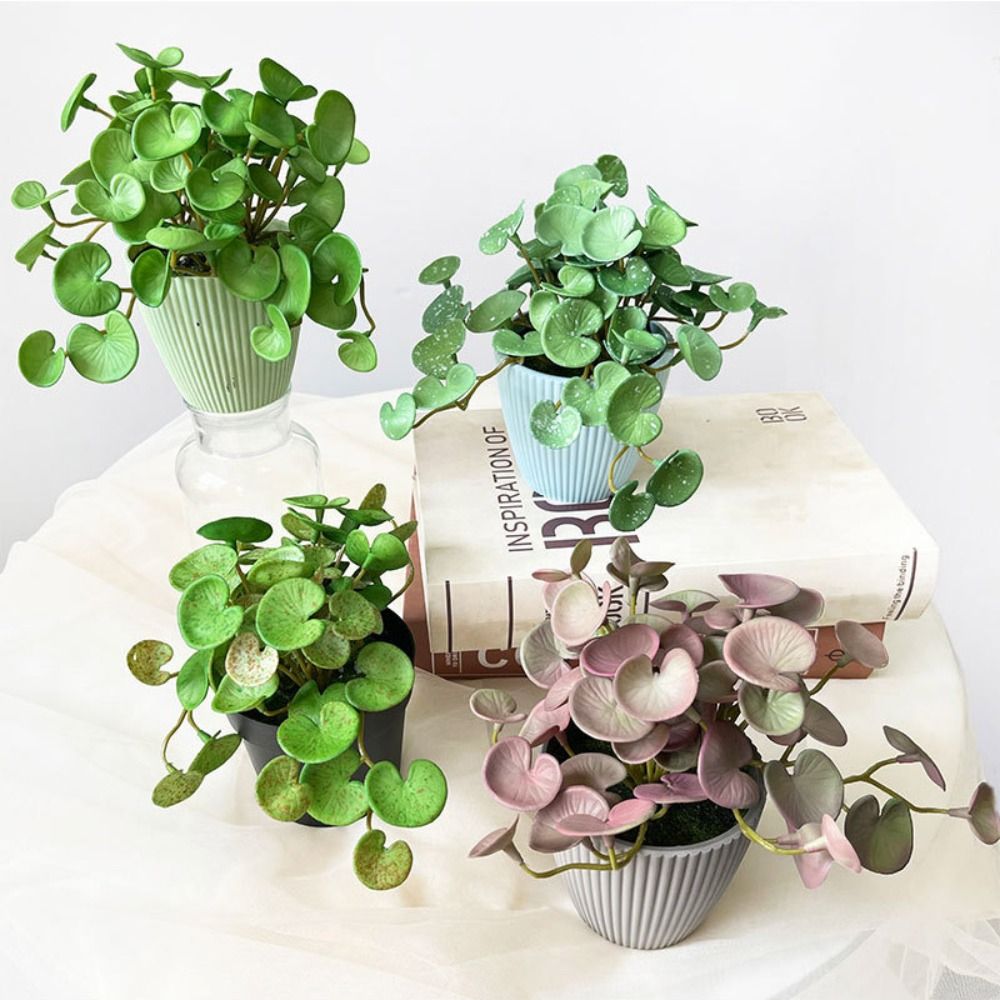 Soft Glue Artificial Plant EVA - огляд і ціна Echeveria Succulent