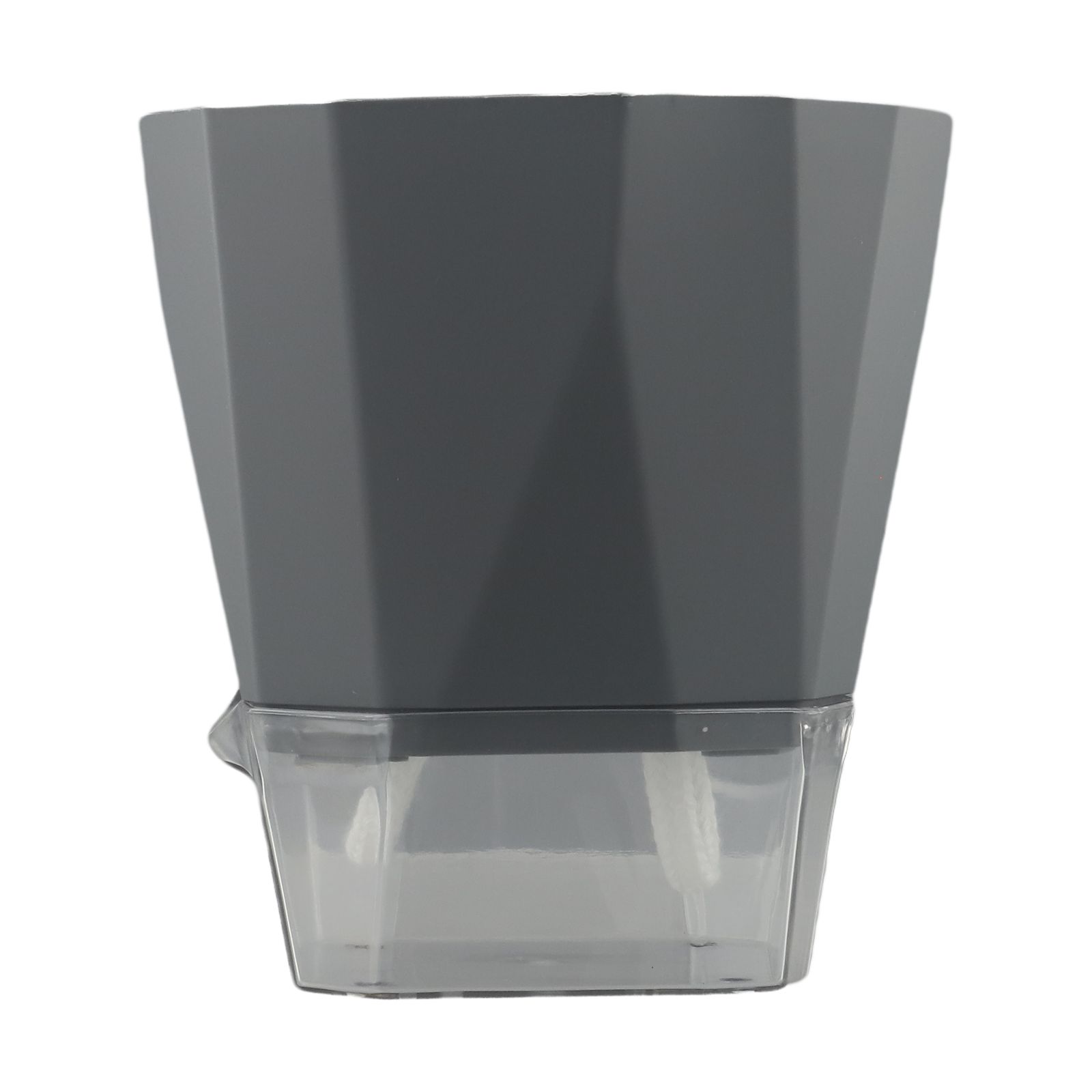 Bedrooms Transparent Flower Po - огляд і ціна Aloe Vera Pot