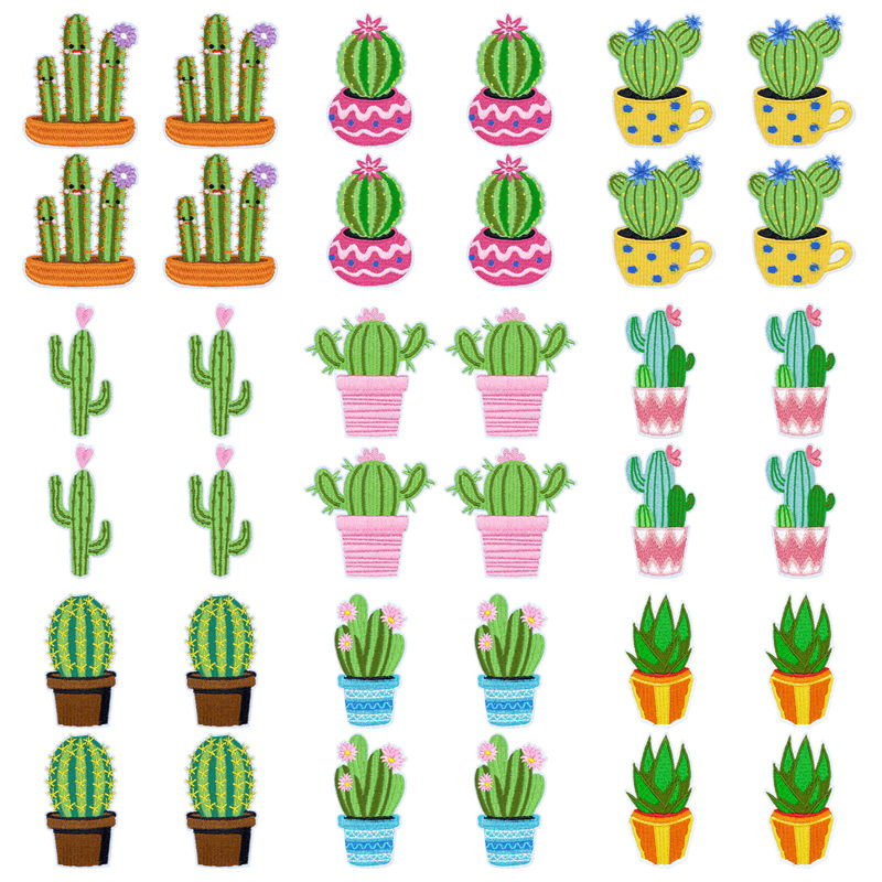 10Pcs/Lot Western Desert Iron  - огляд і ціна Aloe Vera Pot