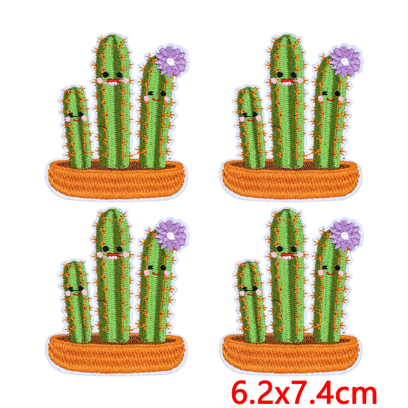 10Pcs/Lot Western Desert Iron  - огляд і ціна Aloe Vera Pot