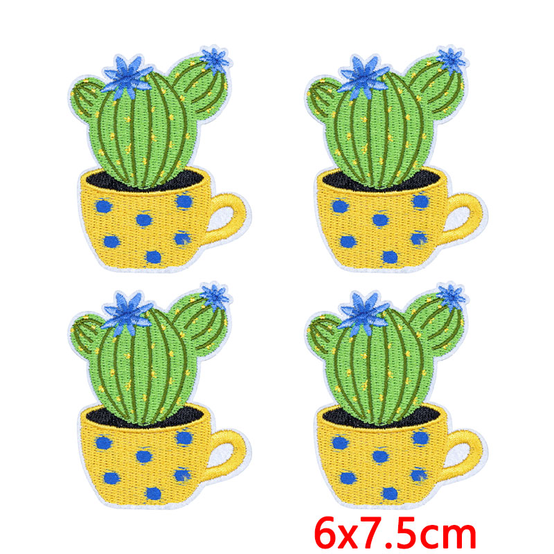10Pcs/Lot Western Desert Iron  - огляд і ціна Aloe Vera Pot