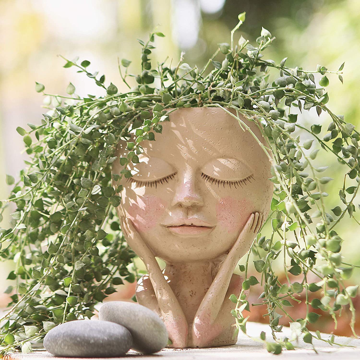 Girls Face Head Flower Planter - огляд і ціна Echeveria Succulent